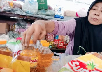 BRI Finance Bidik Sektor Konsumer